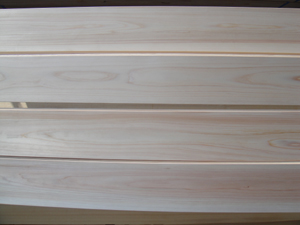 �w�t���A�㏬���n