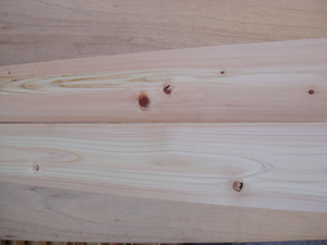 �w�t���A�ߗL