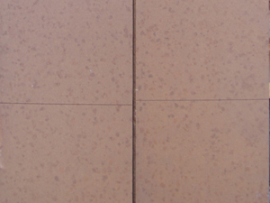 �R���N�t���A