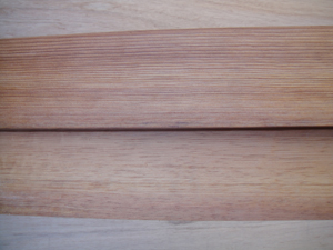 ���b���I�X���Ԗ�