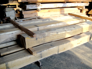 �I���p��