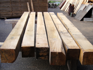 �I���p��