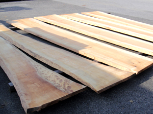 �����L��