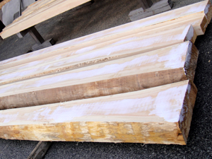 �w�y�E�ԑ��E��